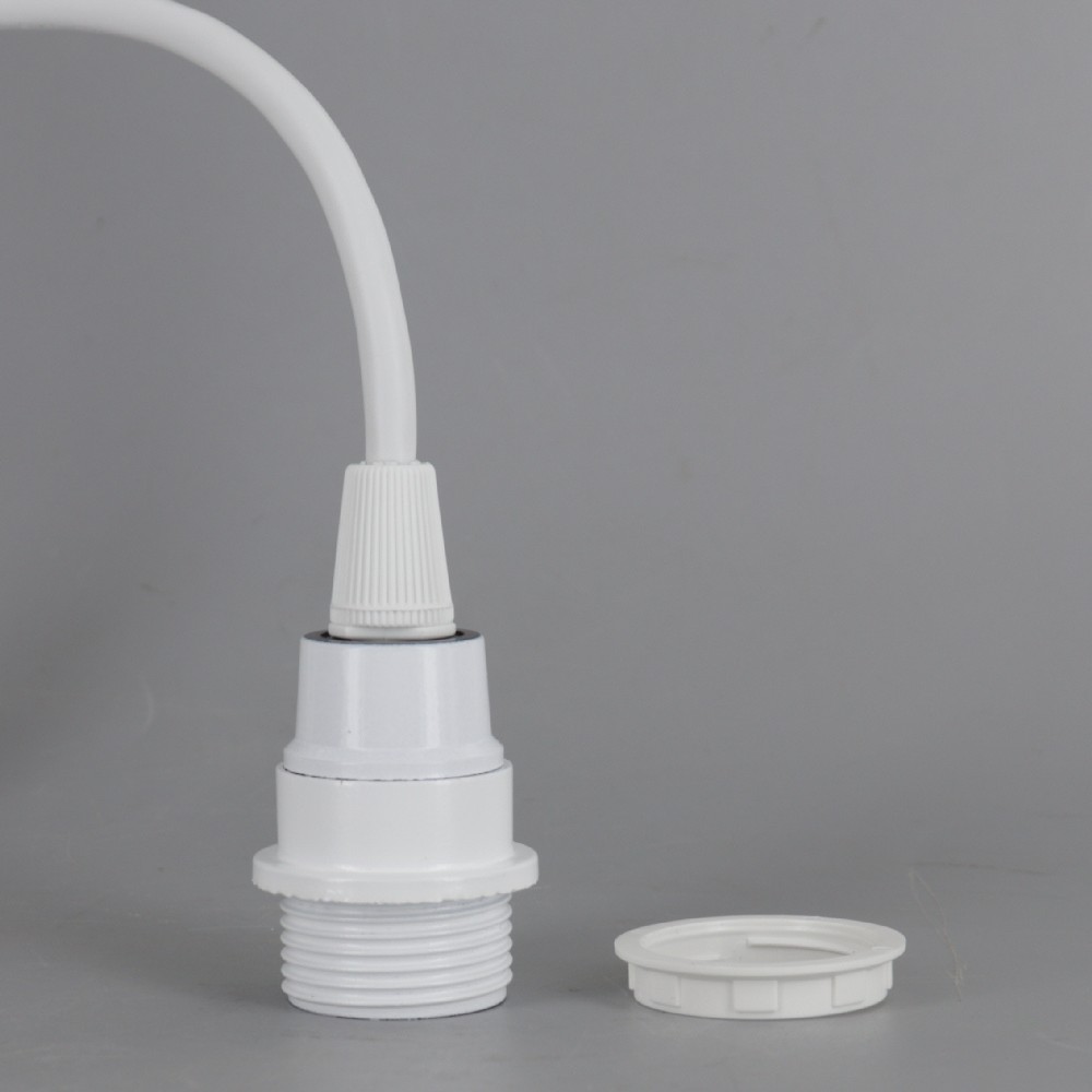 E-12 Base White Pendant Lamp Socket with 4ft Long 18/2 SVT Wire Leads. Questions & Answers